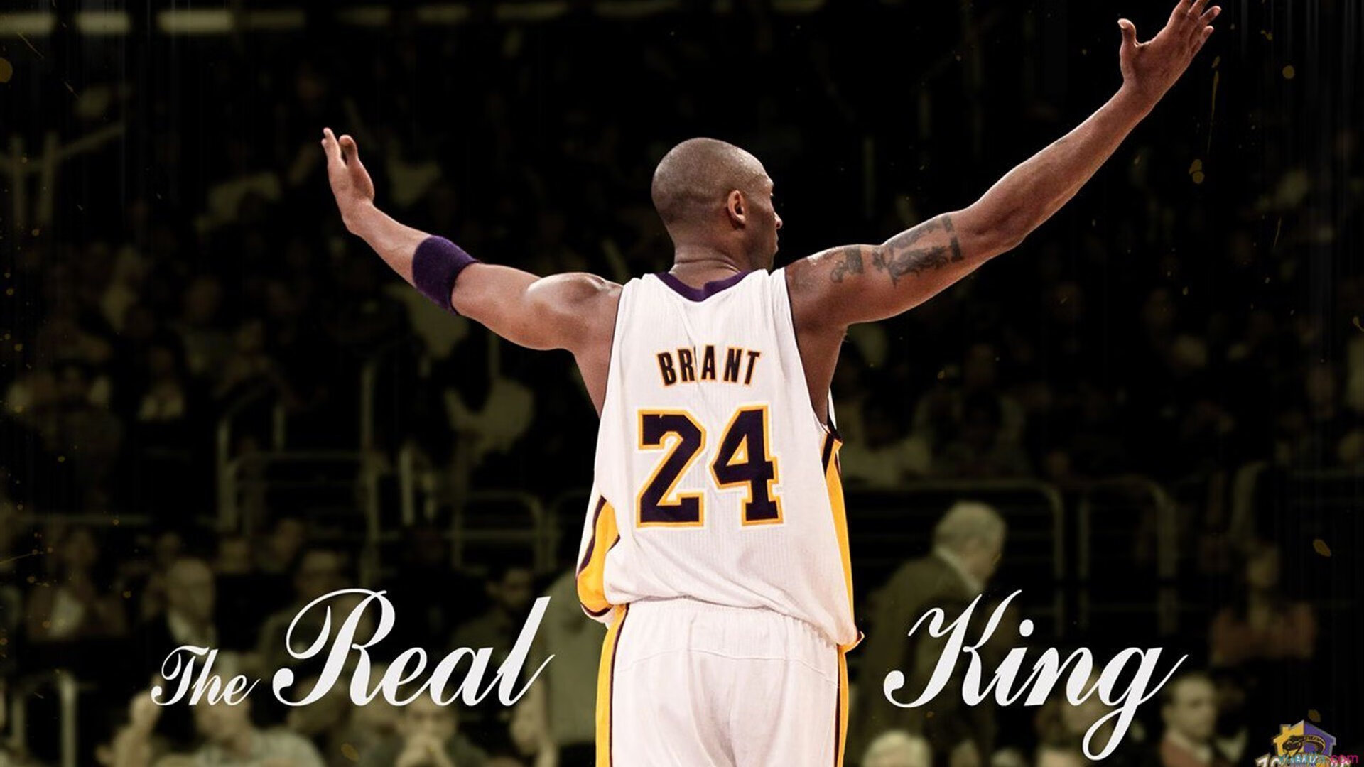 季后赛抢七之夜，弗拉霍维奇，硬仗之王的加冕礼